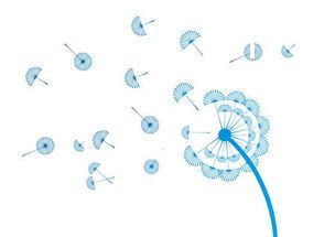 攜手長(zhǎng)春網(wǎng)站建設(shè)，打造企業(yè)專屬的數(shù)字化門戶